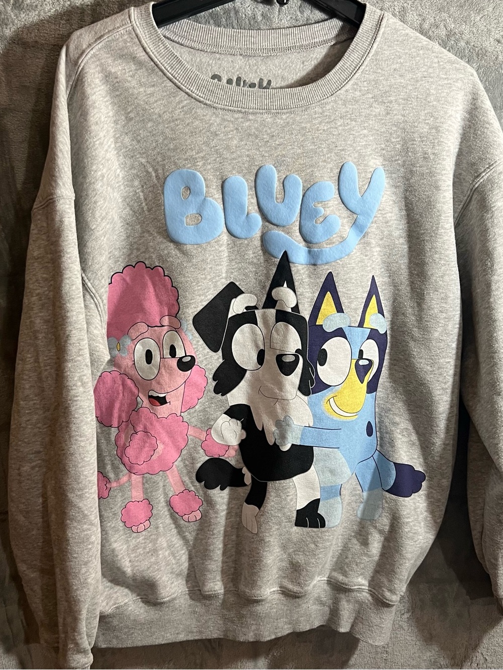 Bluey Graphic  Sweatshirt - Gray with Blue & Pink Characters